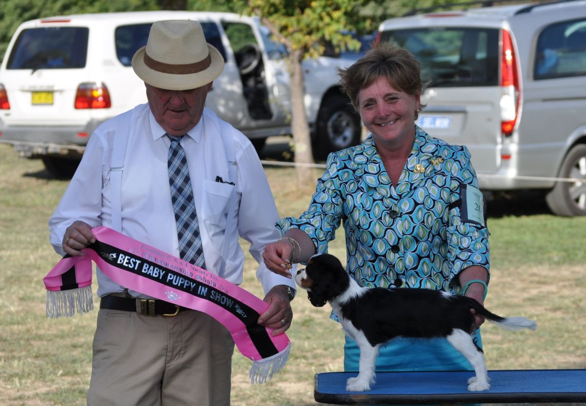 Margaret with Jamie Baby Puppy in Show