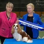 Hilton R/U Show New Zealand