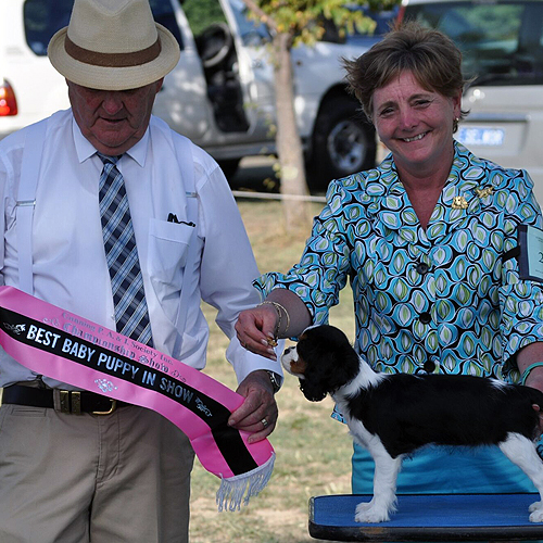 Jamie & Margaret Best Baby Puppy In Show