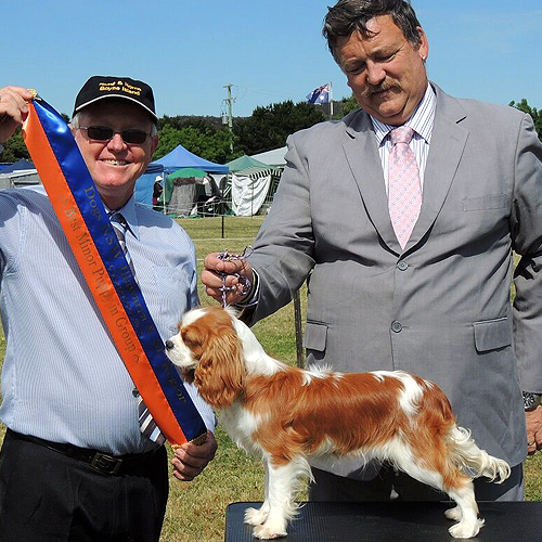 Lara Best Minor Puppy in Show