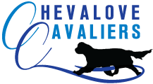 Chevalove Logo