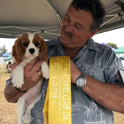 Tori Baby Puppy in Group